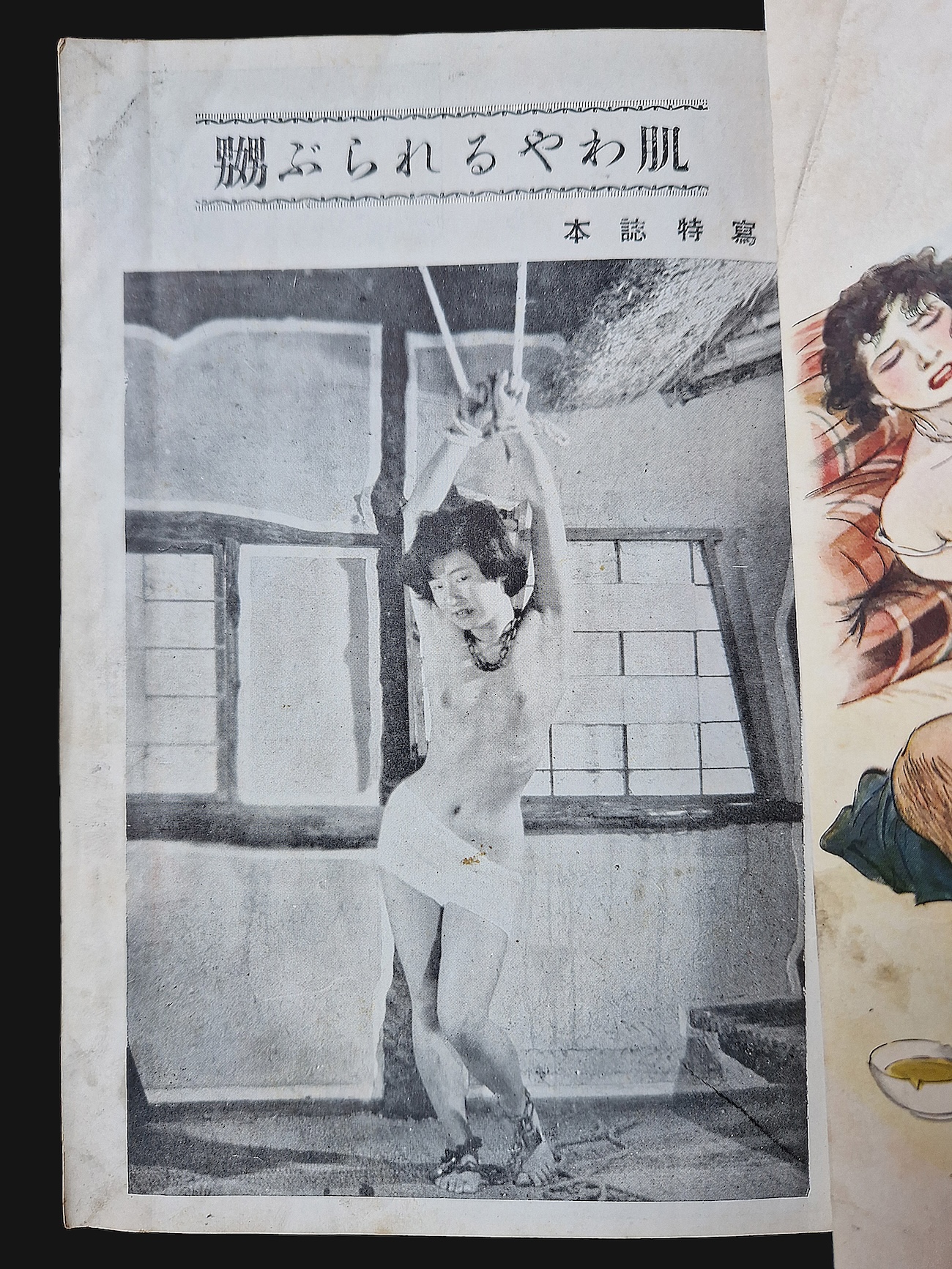 Fuzoku Soushi 1953 11 14