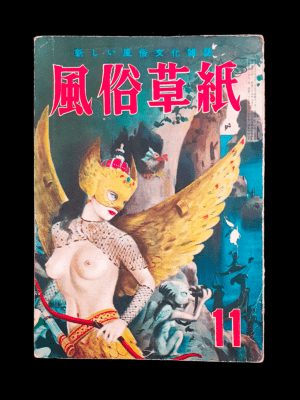 Fuzoku Soushi November 53 cover