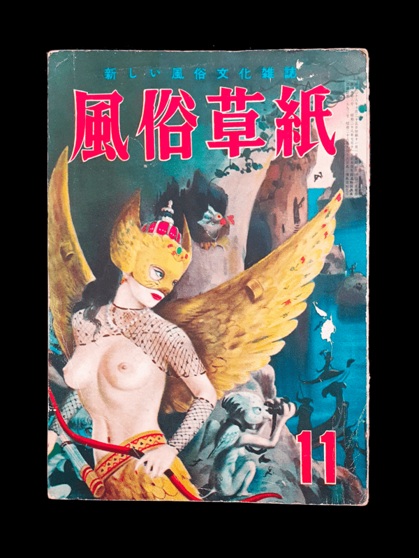 Fuzoku Soushi November 53 cover
