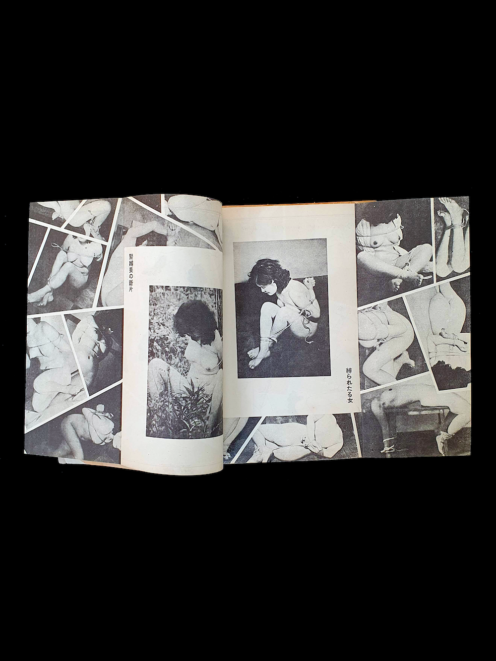 Kitan Club – August 58 Shark 12 Kitan Club – August 58 Shark 12