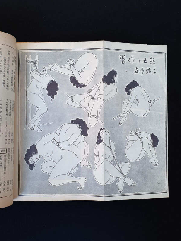 Kitan Club – August 58 Shark 15