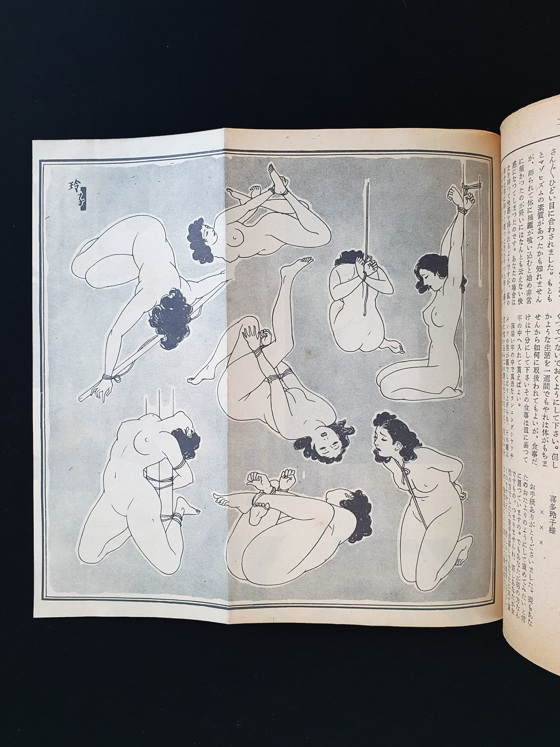 Kitan Club – August 58 Shark 16 Kitan Club – August 58 Shark 16