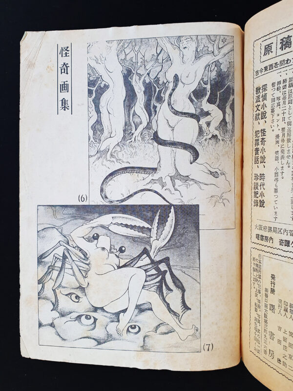 Kitan Club – August 58 Shark 17