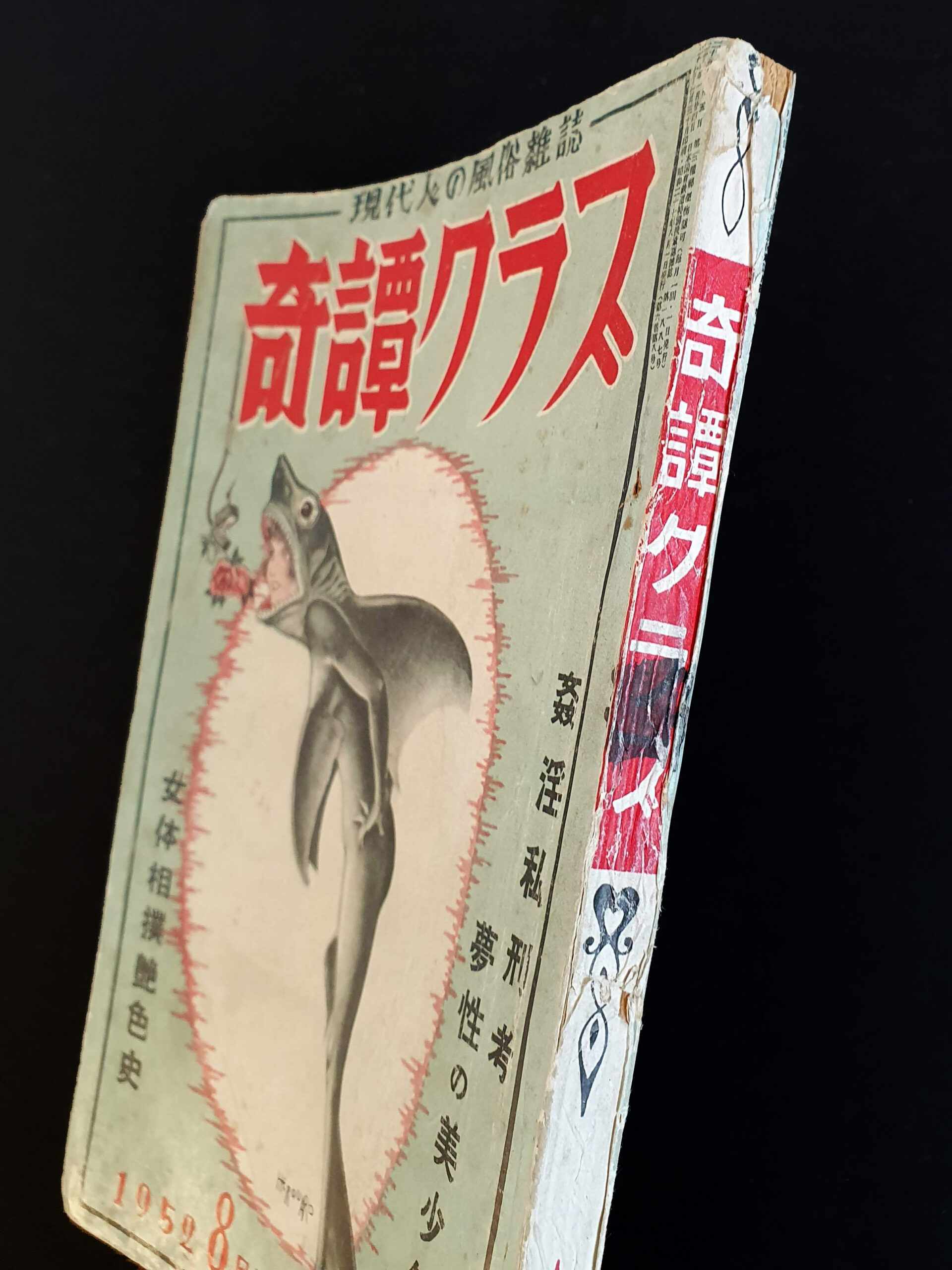 Kitan Club – August 58 Shark 2 Kitan Club – August 58 Shark 2