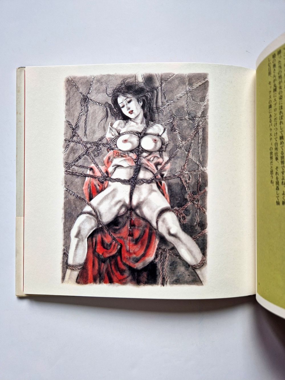 Juan Maeda Art works 13