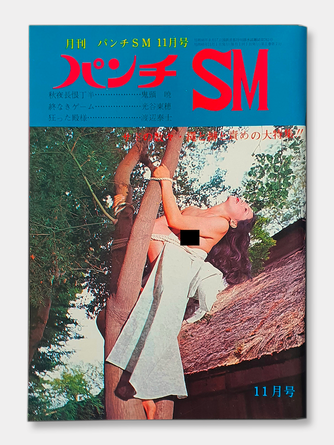 SM Punch Nov 71 cover white SM Punch Nov 71 cover white