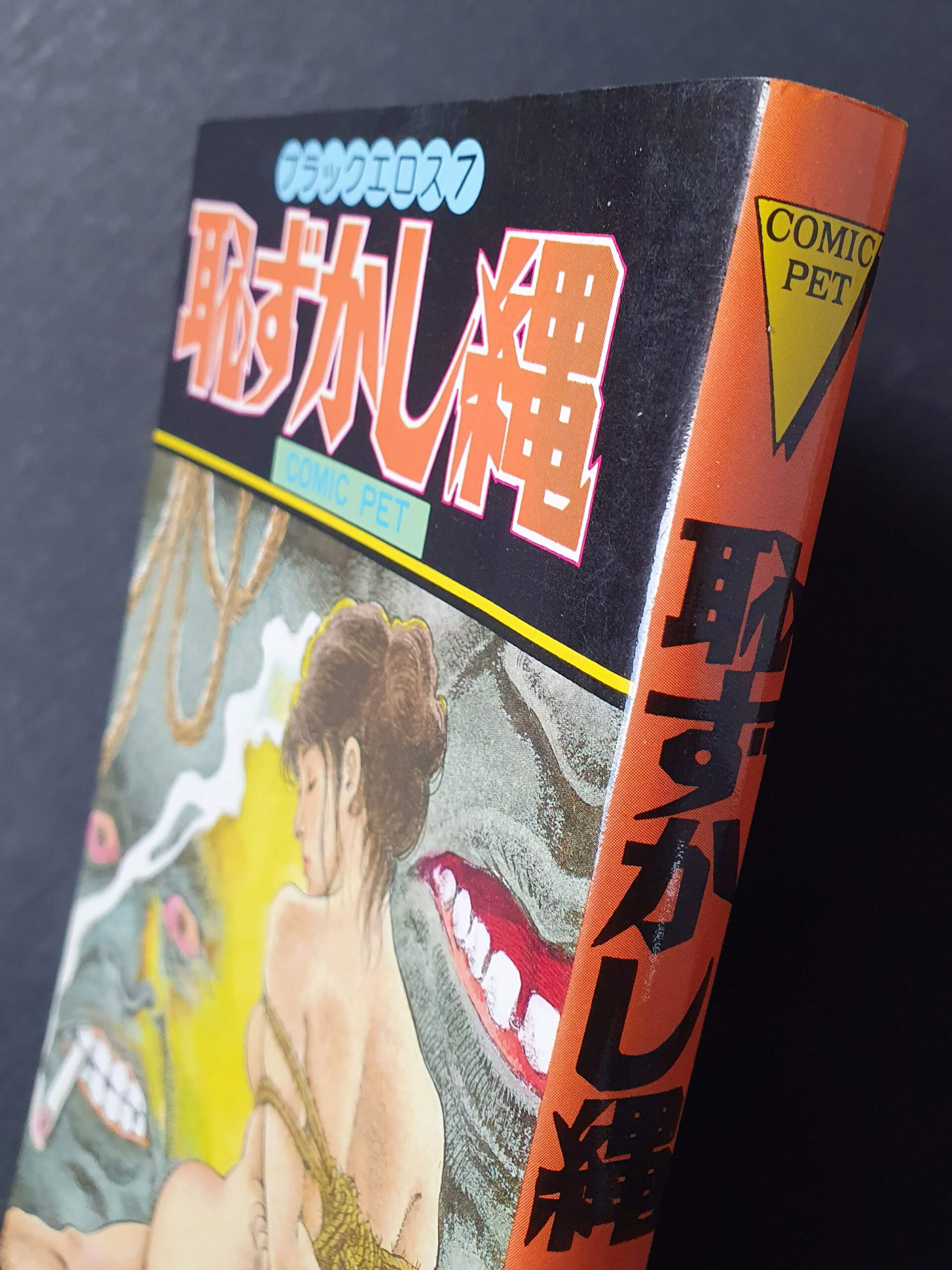 Embarrassing rope – Shiro Kasama cover 2 Embarrassing rope – Shiro Kasama cover 2