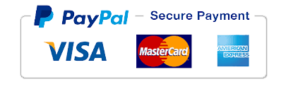Paypal logo footer 2