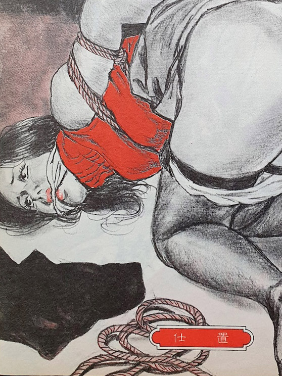 Rope play Yoji Muku Comic Pet 10 FS