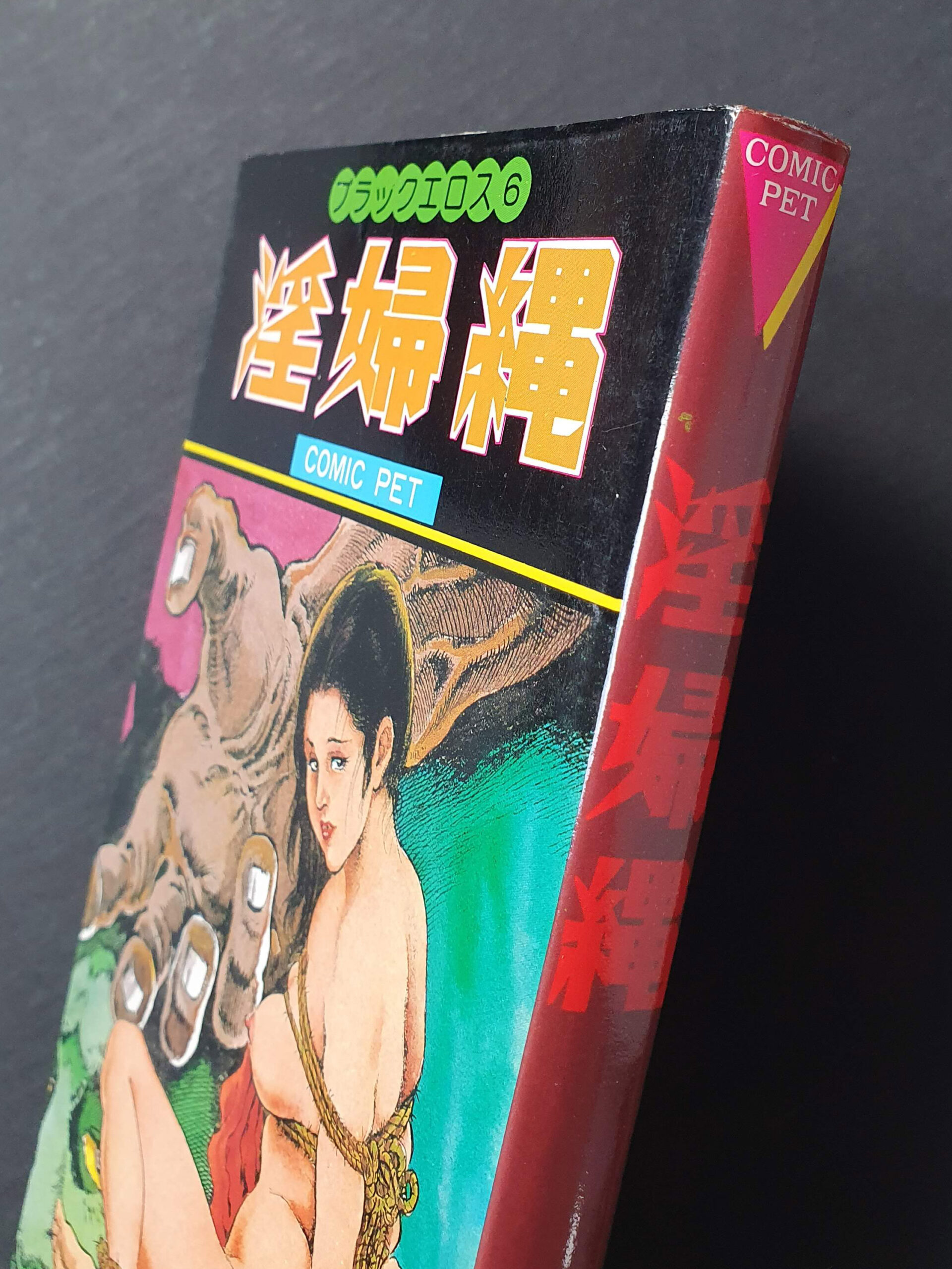 Slutty rope – Shiro Kasama cover 2