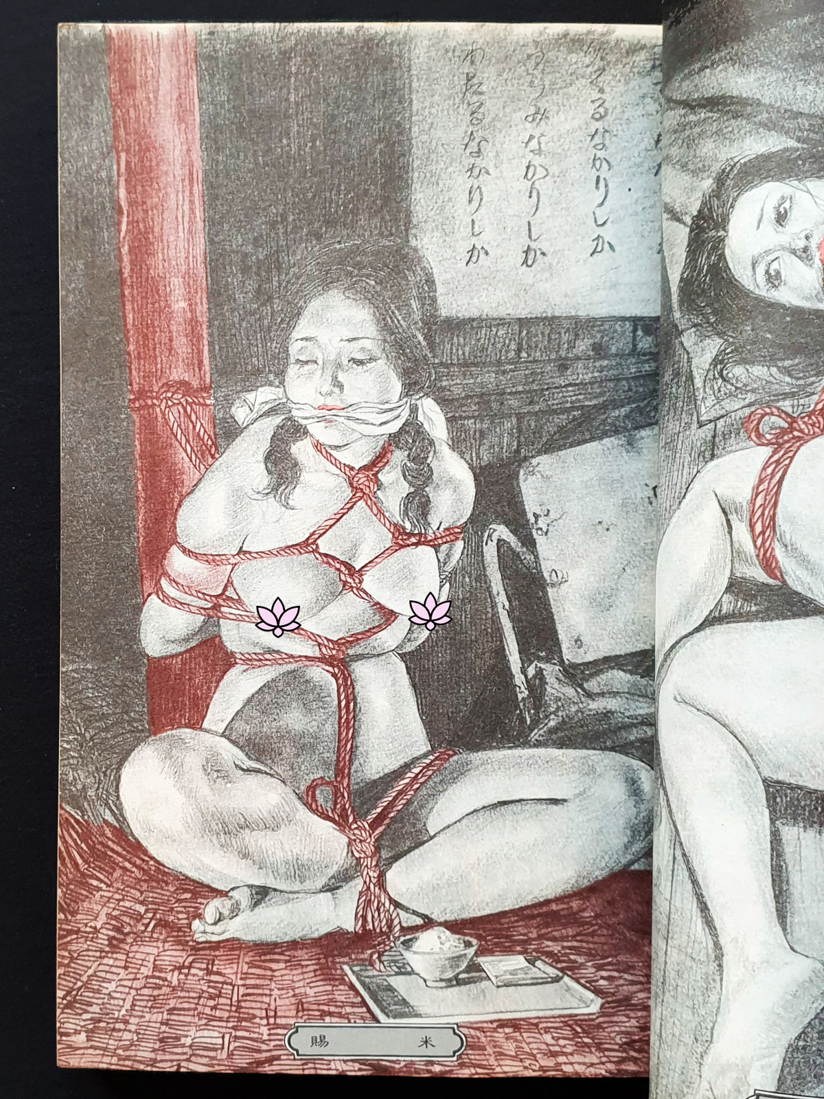 Woman bondage Yoji Muku 6 censured
