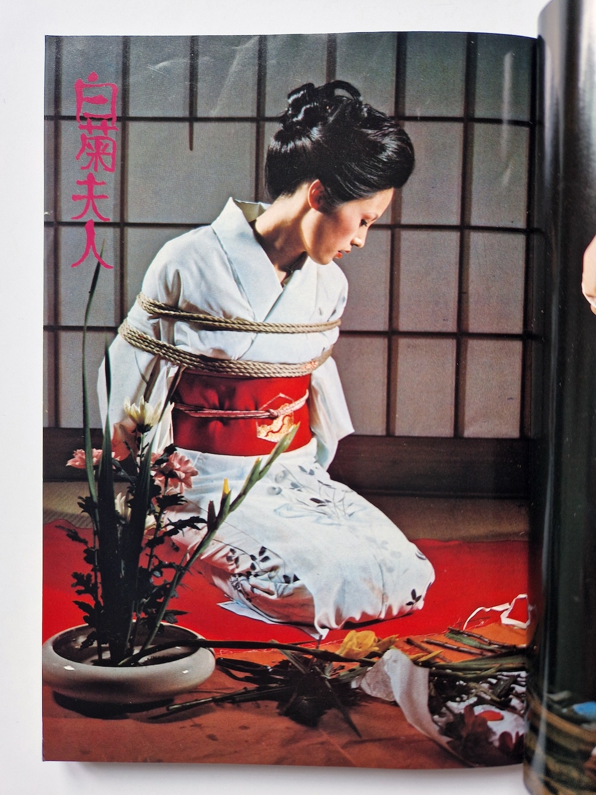 Sadistic play of bondage 1978 01 5