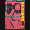 Adult Photography Peeping Part IV Ikko Kagari & Others cover