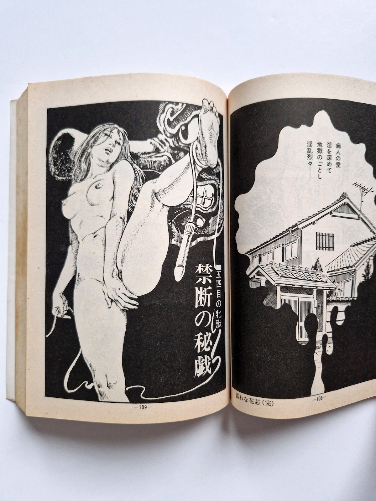 Fallen Angel Part 1 Shiro Kasama 10