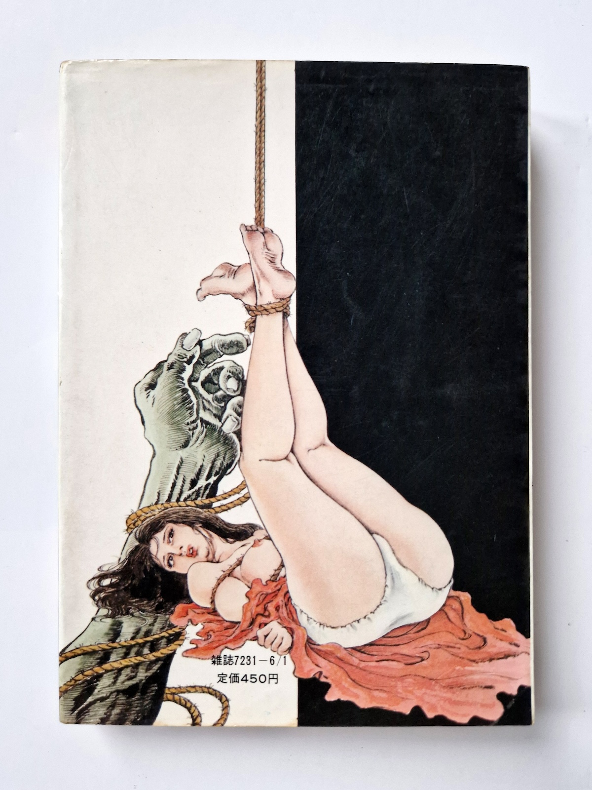 Fallen Angel Part 1 Shiro Kasama 3