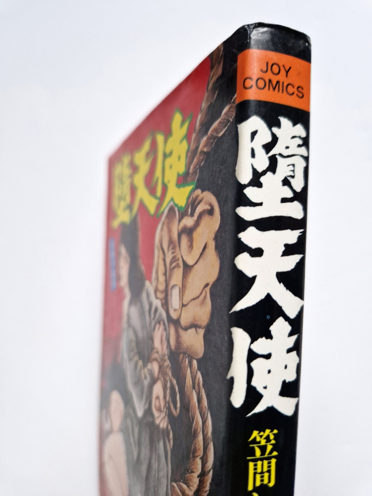 Fallen Angel Part 1 Shiro Kasama 4