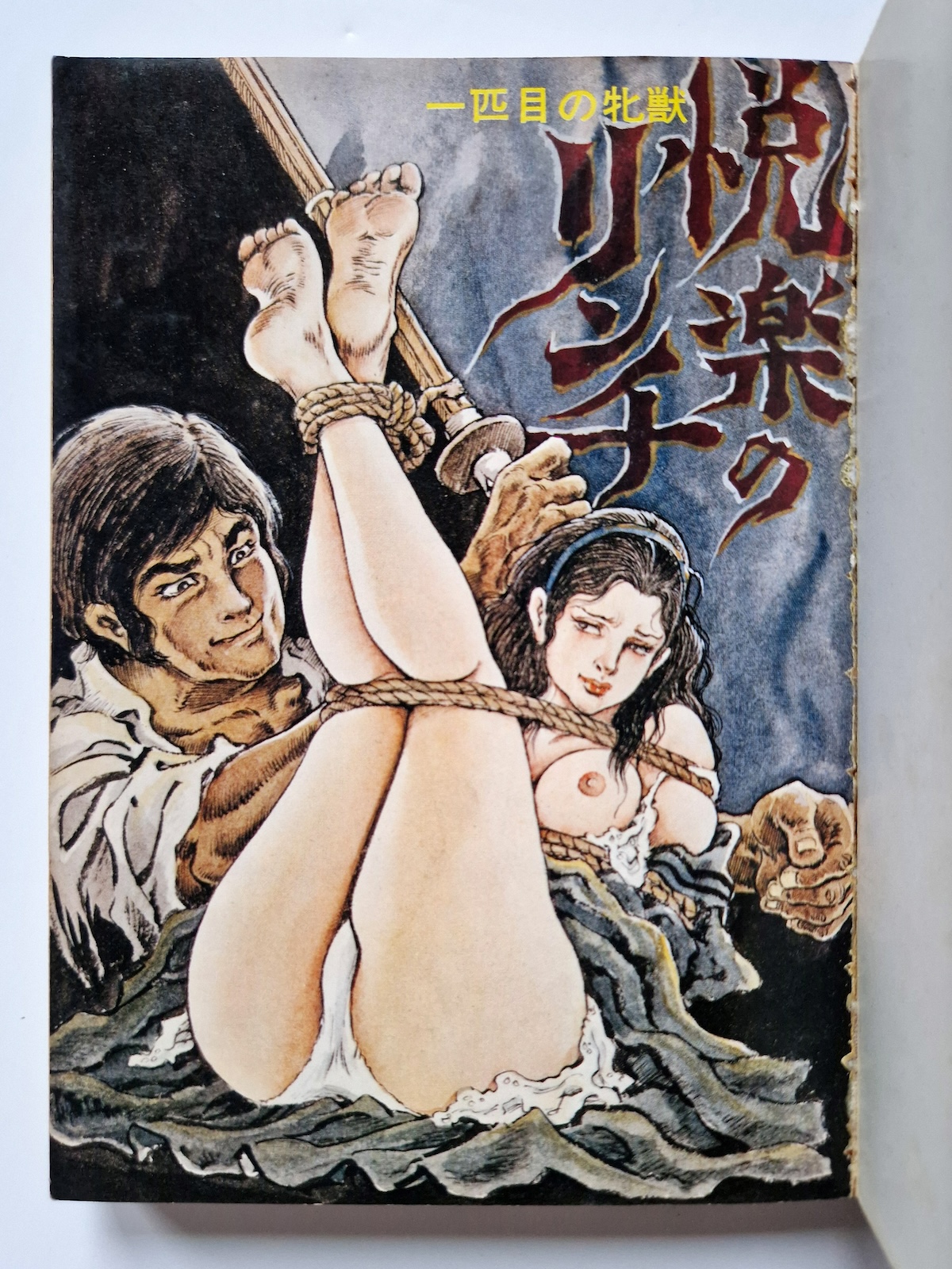 Fallen Angel Part 1 Shiro Kasama 5