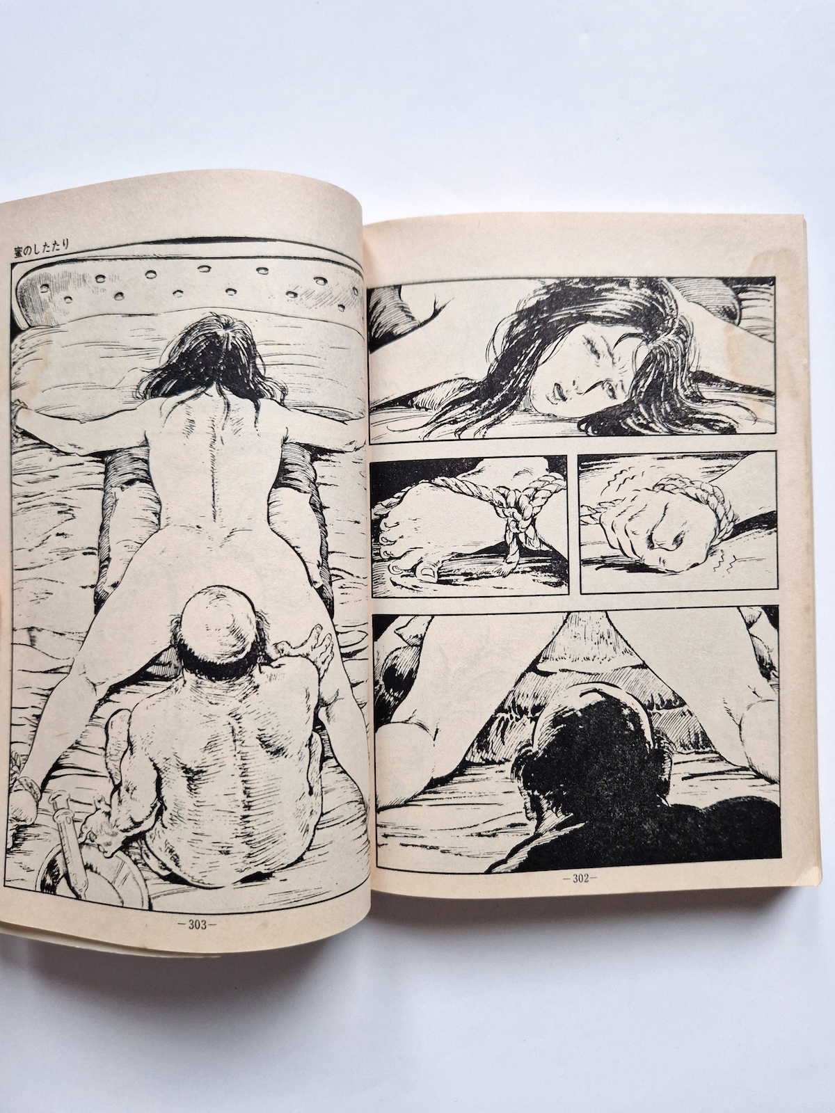 Fallen Angel Part 2 Shiro Kasama 12