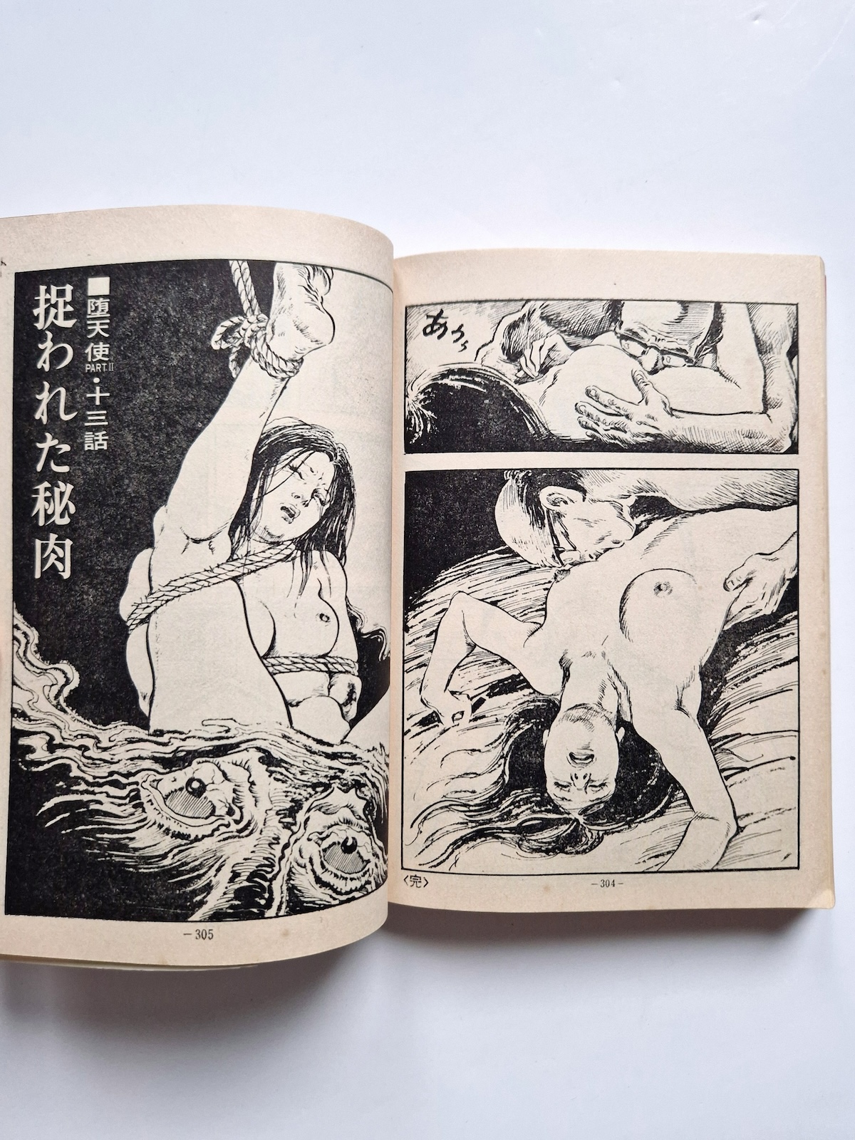 Fallen Angel Part 2 Shiro Kasama 13