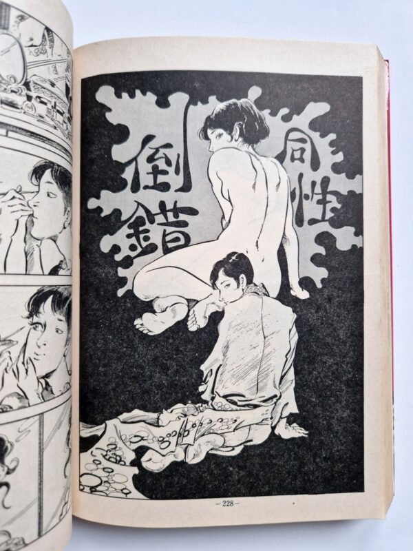 Fallen Angel Part 2 Shiro Kasama 6