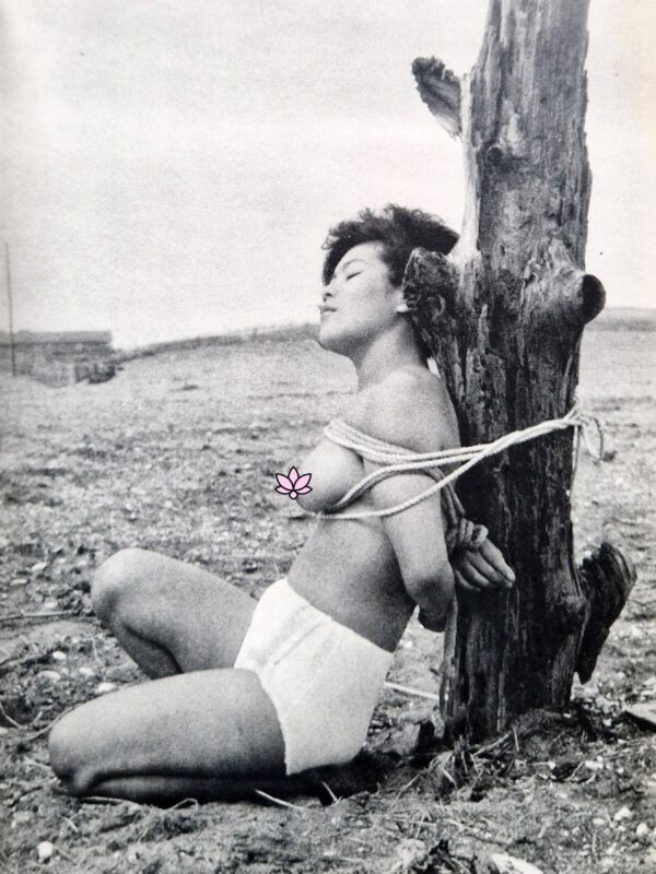 Fuzoku Kitan Kinbaku Photo No.3 (vert) 11