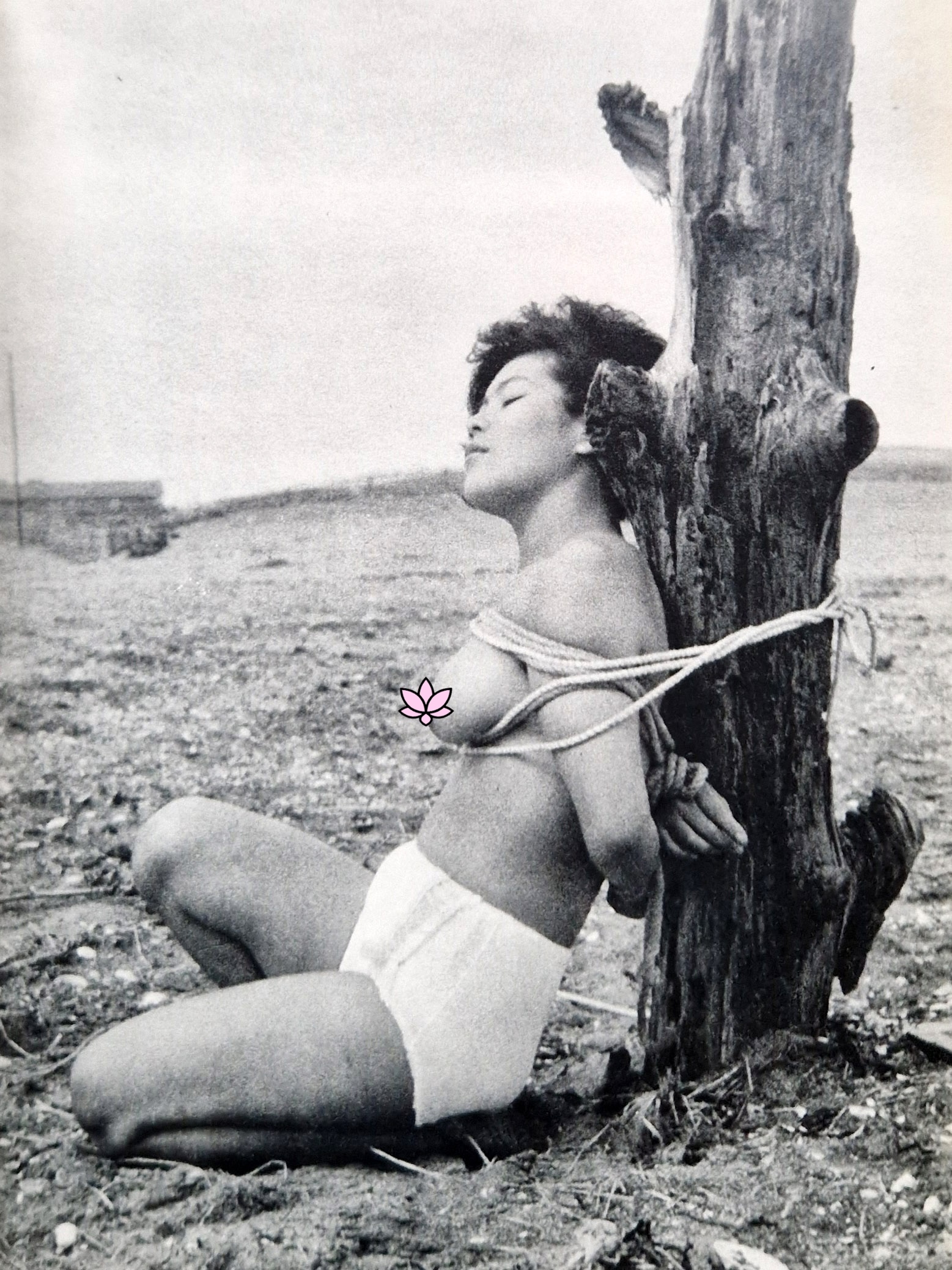 Fuzoku Kitan Kinbaku Photo No.3 (vert) 11 Fuzoku Kitan Kinbaku Photo No.3 (vert) 11