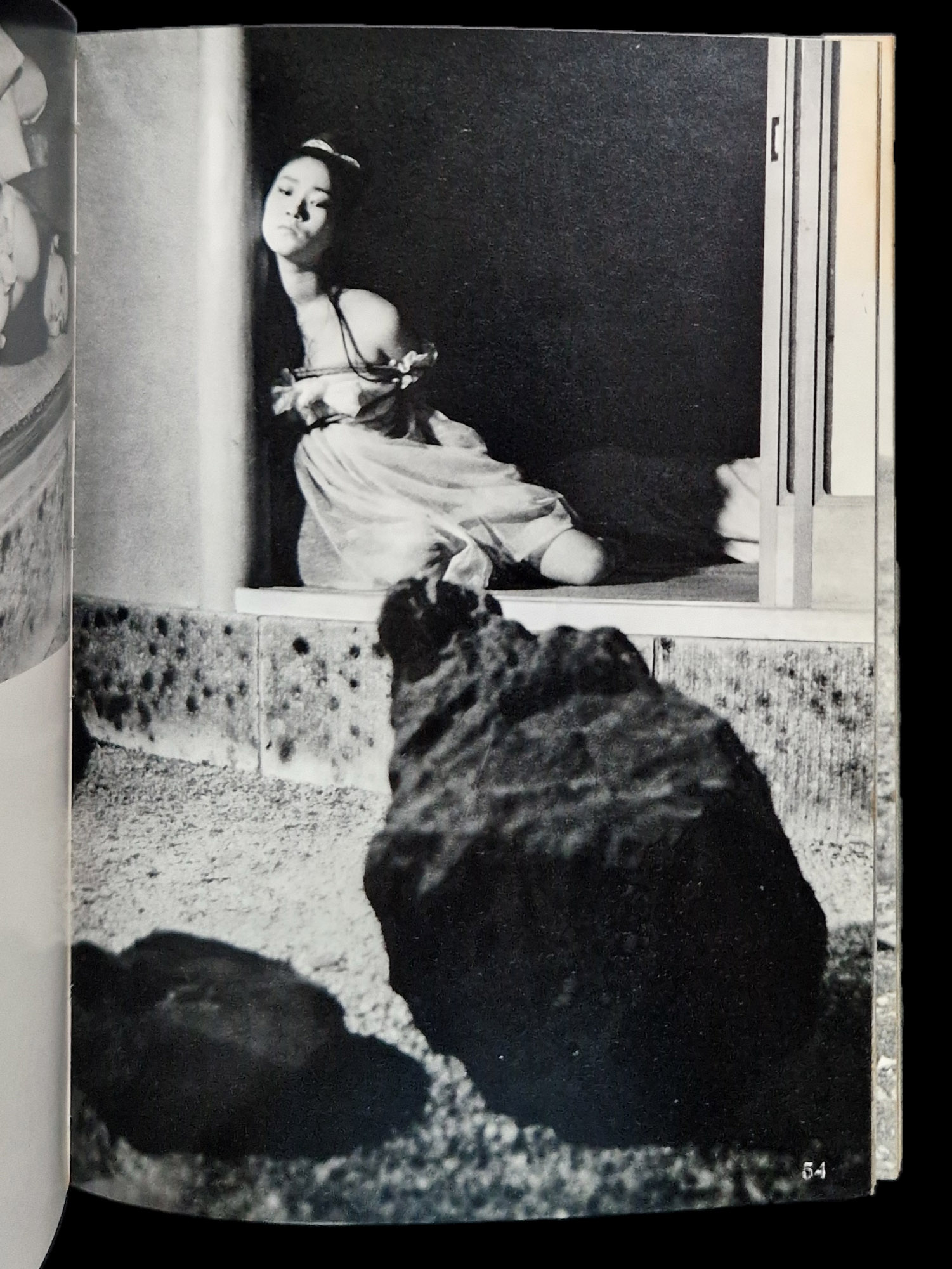 Fuzoku Kitan Kinbaku Photo No.3 (vert) 12 Fuzoku Kitan Kinbaku Photo No.3 (vert) 12