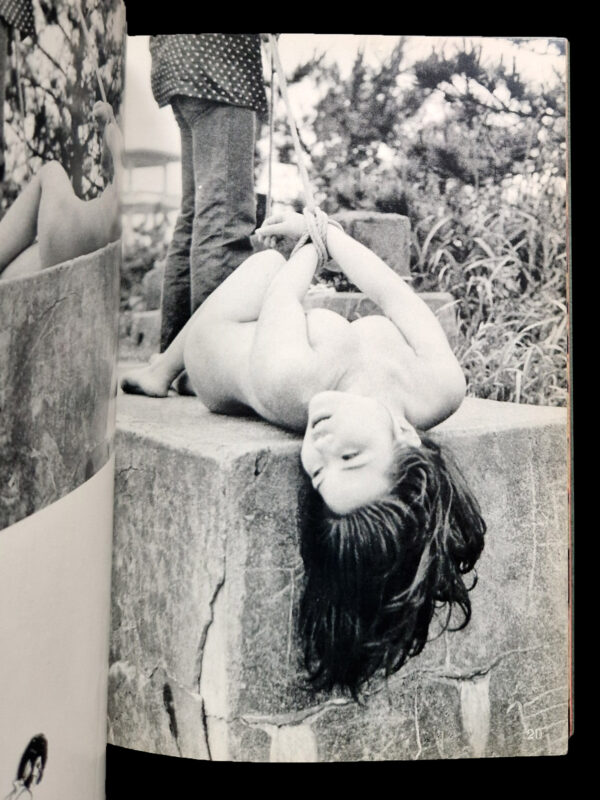 Fuzoku Kitan Kinbaku Photo No.3 (vert) 9