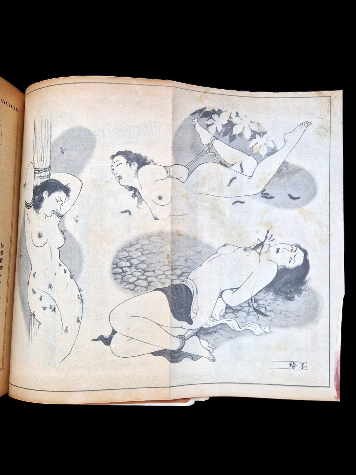 Fuzoku Soshi 1953 08 10