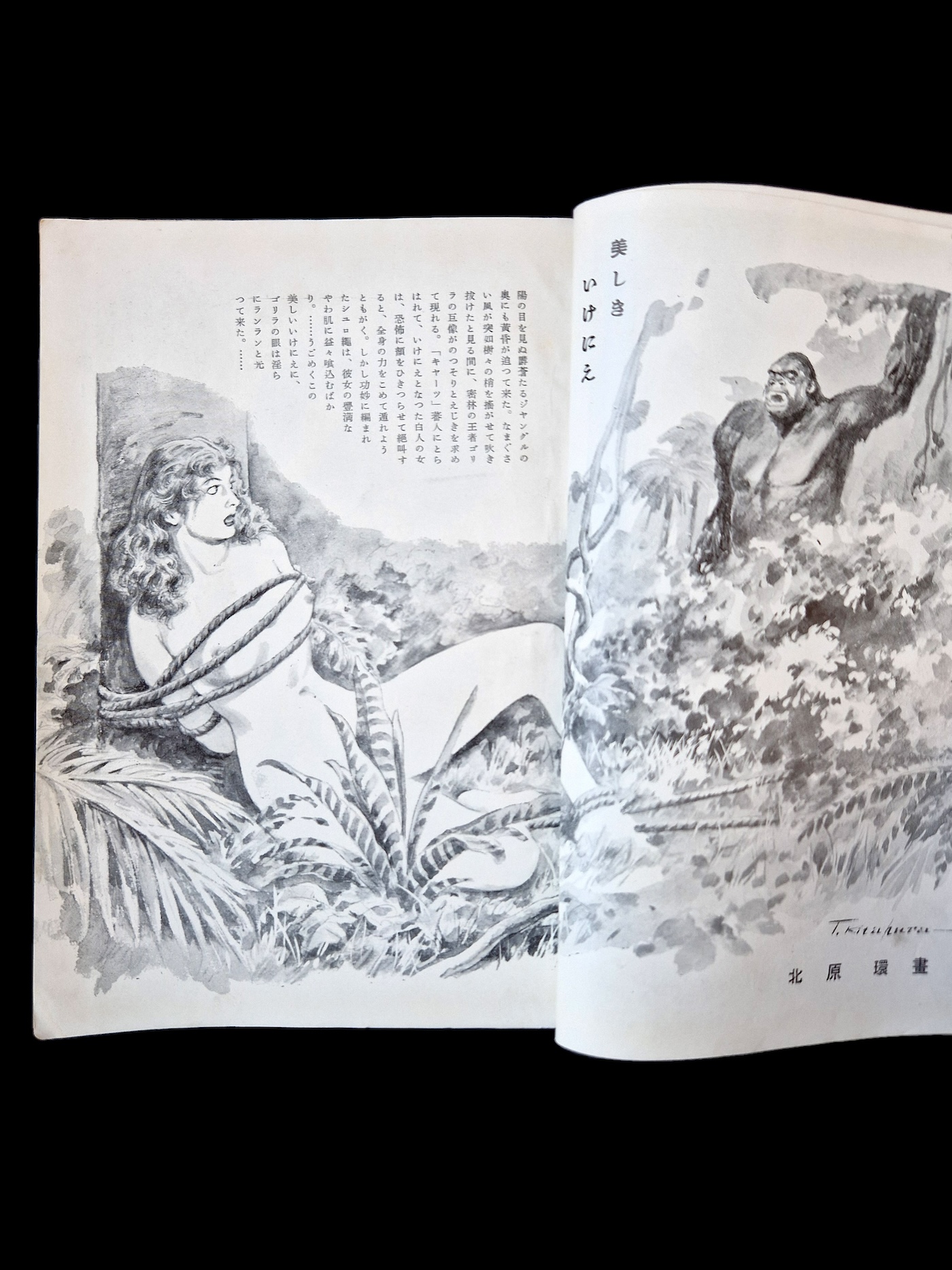 Fuzoku Soshi 1953 08 6