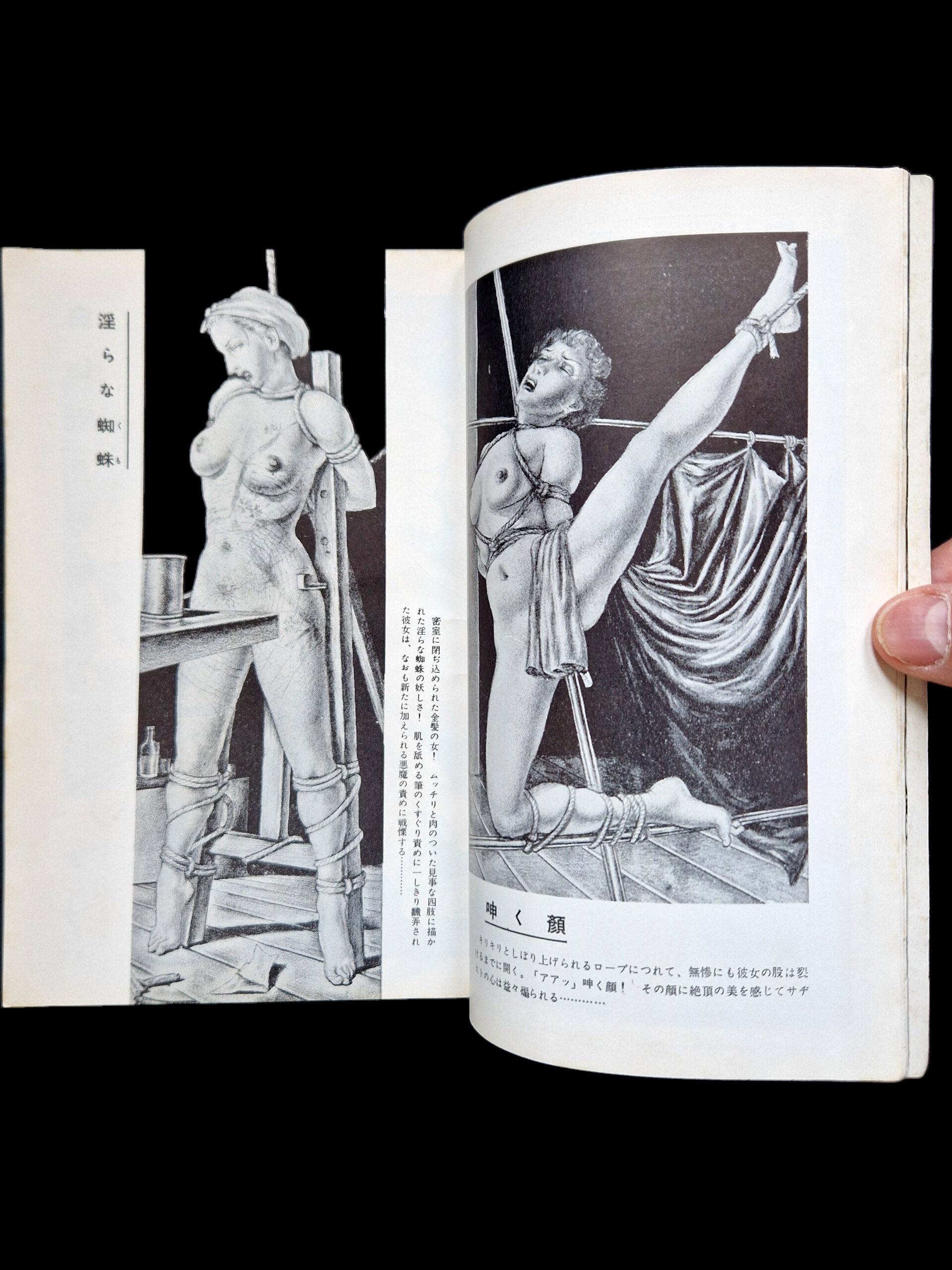 Fuzoku Soshi 1954 01 11 Fuzoku Soshi 1954 01 11