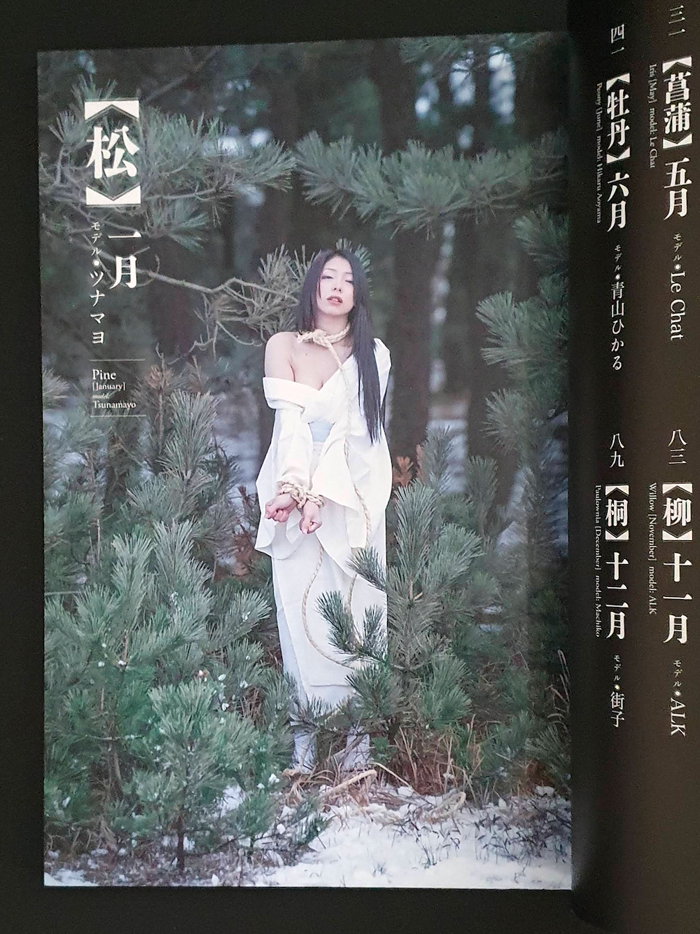 Hanafuda Kinbaku Hajime kinoko p1