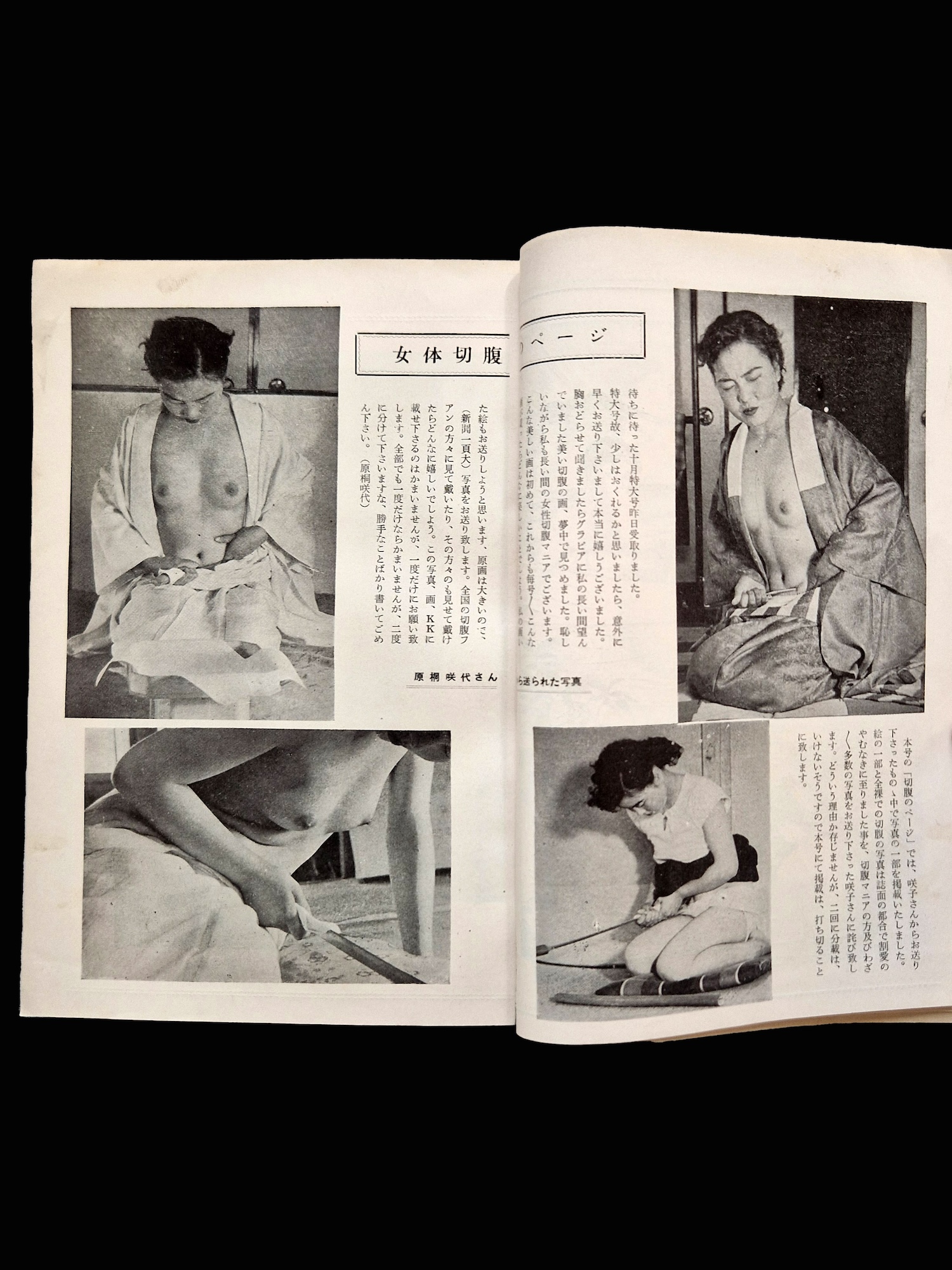 Kitan club 1954 11 11