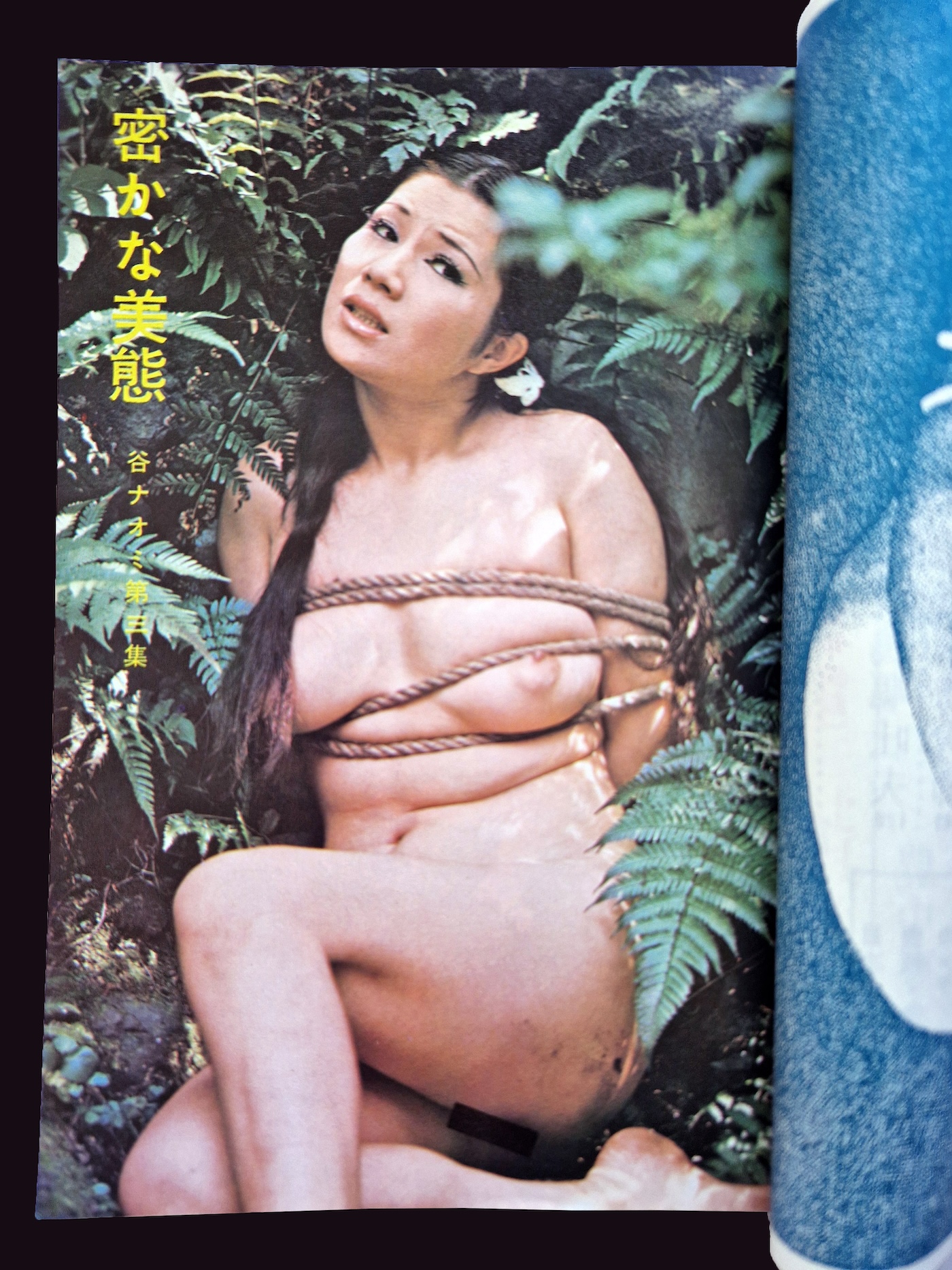 SM King october 1972 3