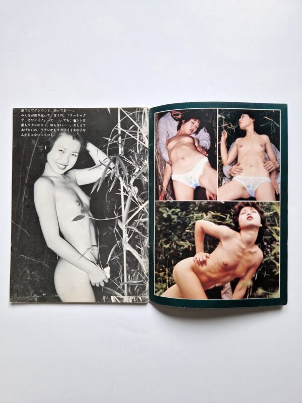 JP 69 Porno 6