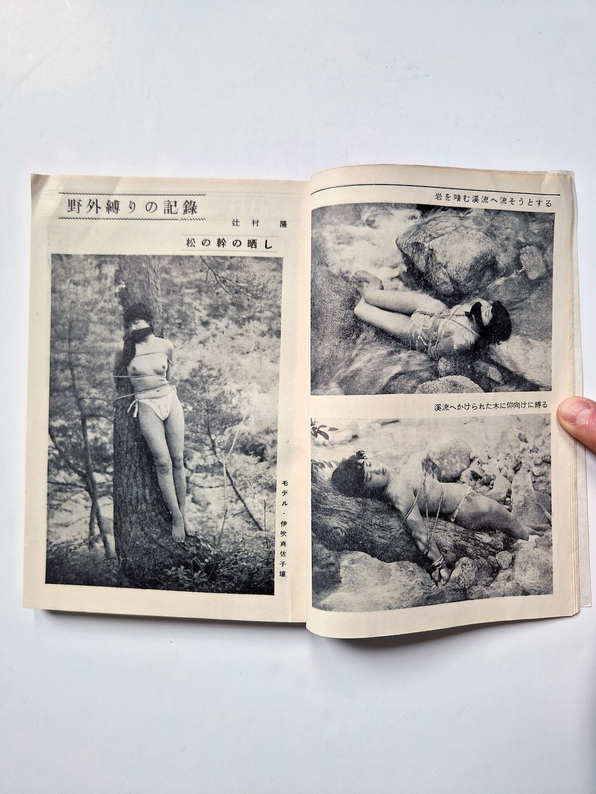 KItan Club 1954 09 9 KItan Club 1954 09 9