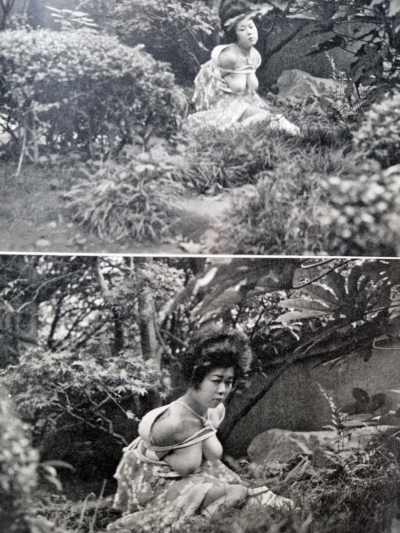 KItan Club 1965 01 19 KItan Club 1965 01 19