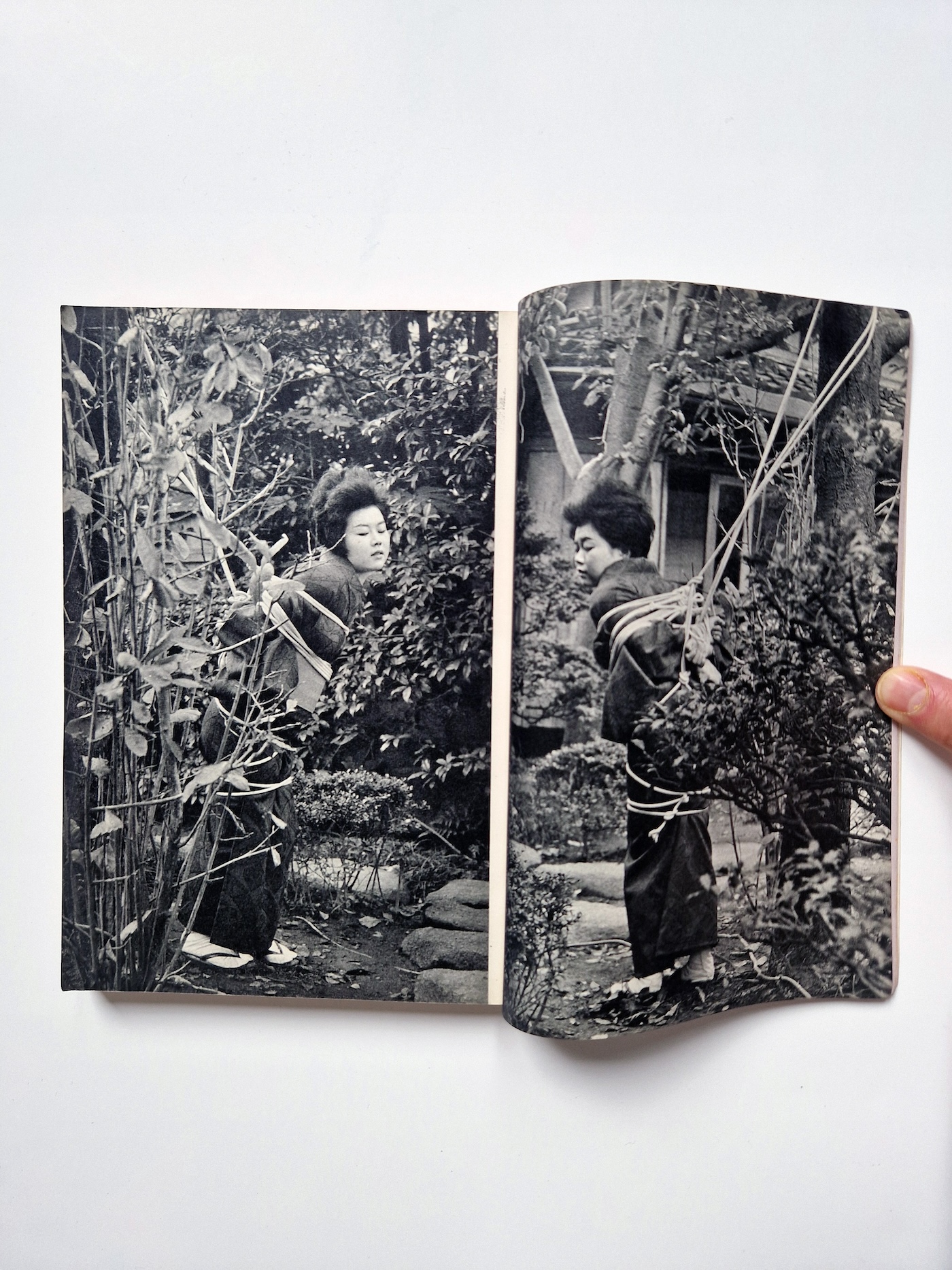 KItan Club 1965 01 6 KItan Club 1965 01 6