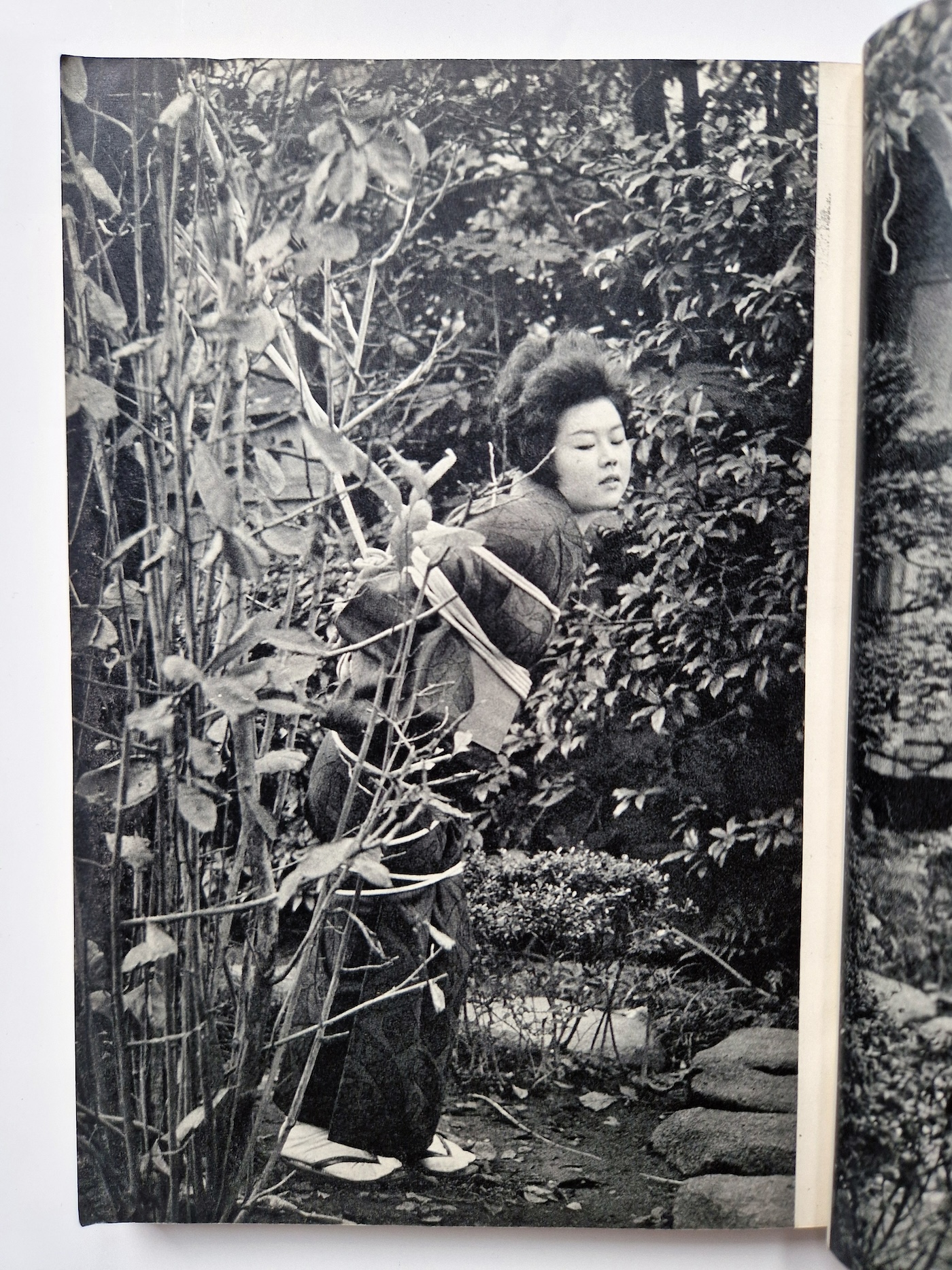 KItan Club 1965 01 7 KItan Club 1965 01 7