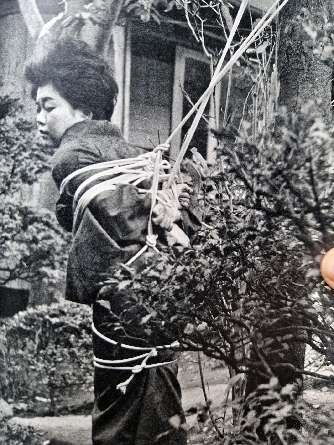 KItan Club 1965 01 8 KItan Club 1965 01 8