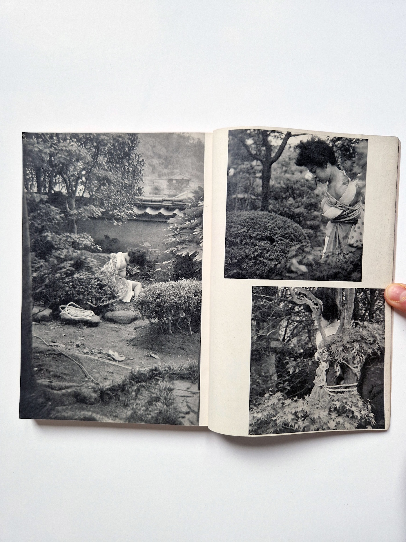 KItan Club 1965 01 9 KItan Club 1965 01 9