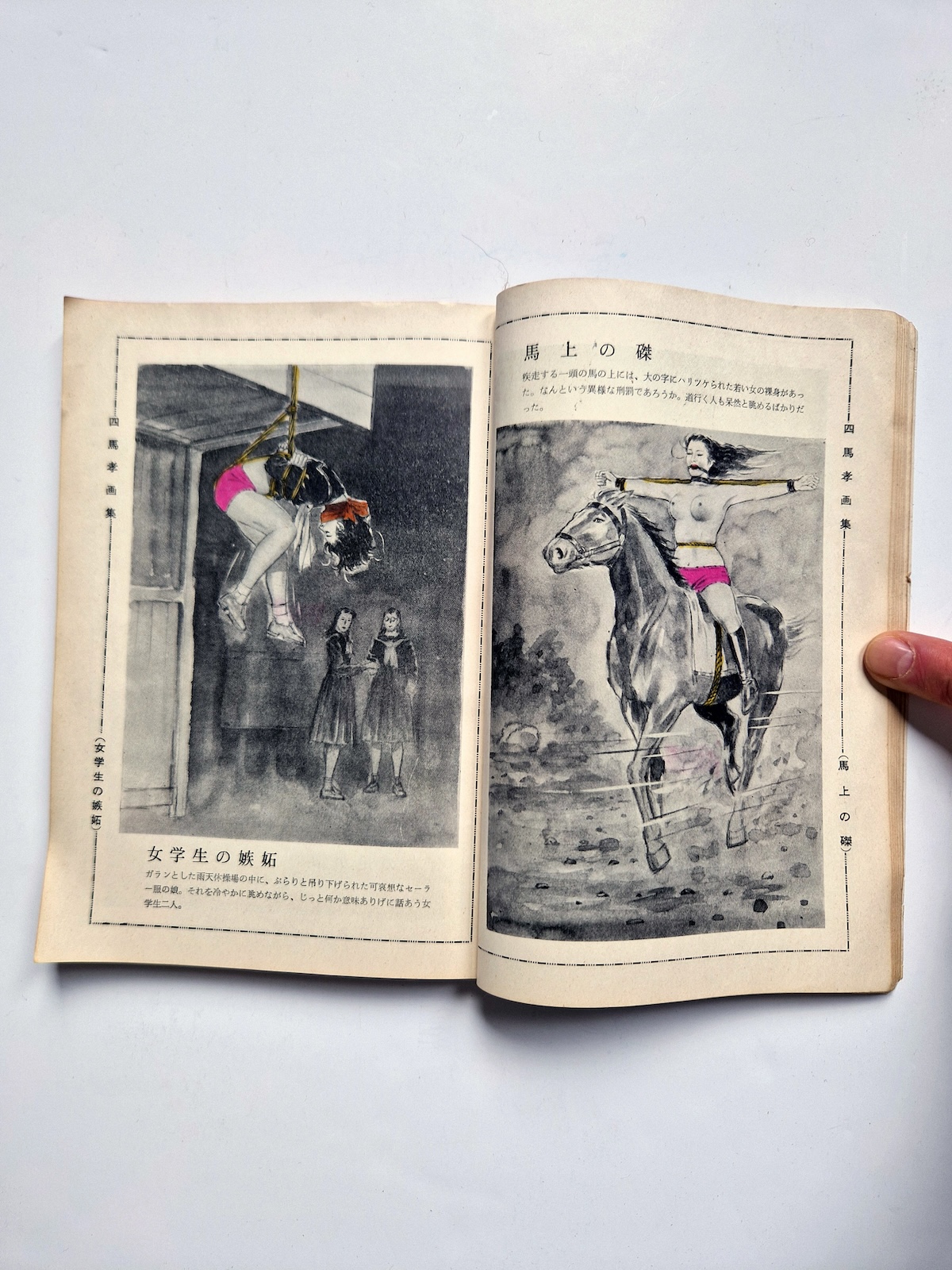 KItan Club 1965 SADO 19 KItan Club 1965 SADO 19