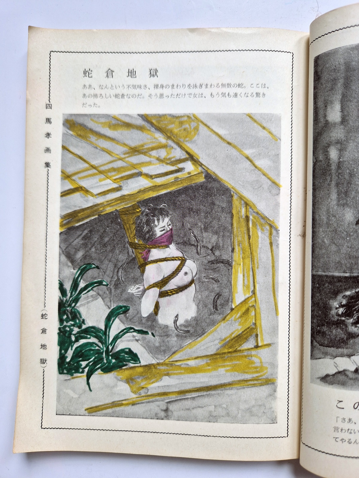 KItan Club 1965 SADO 22 KItan Club 1965 SADO 22