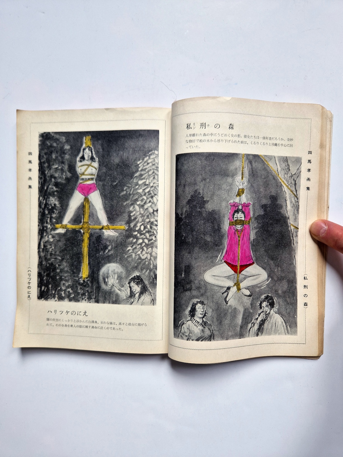 KItan Club 1965 SADO 24 KItan Club 1965 SADO 24