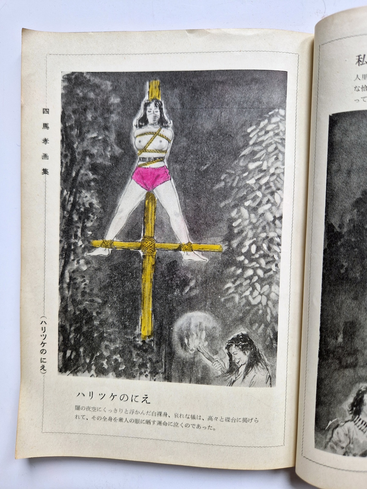 KItan Club 1965 SADO 25 KItan Club 1965 SADO 25