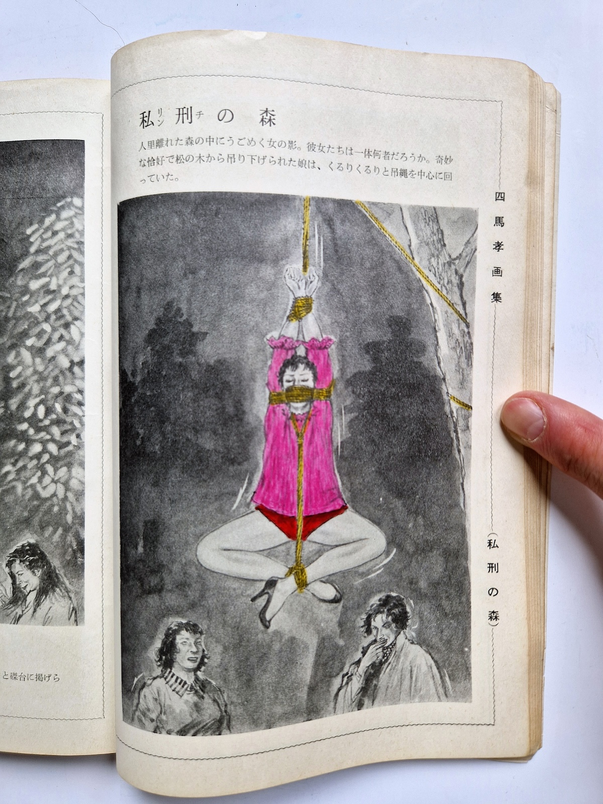 KItan Club 1965 SADO 26 KItan Club 1965 SADO 26