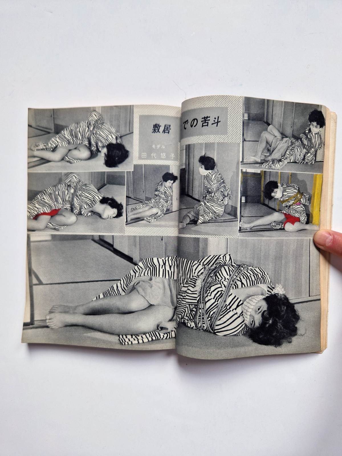 KItan Club 1965 SADO 30 KItan Club 1965 SADO 30