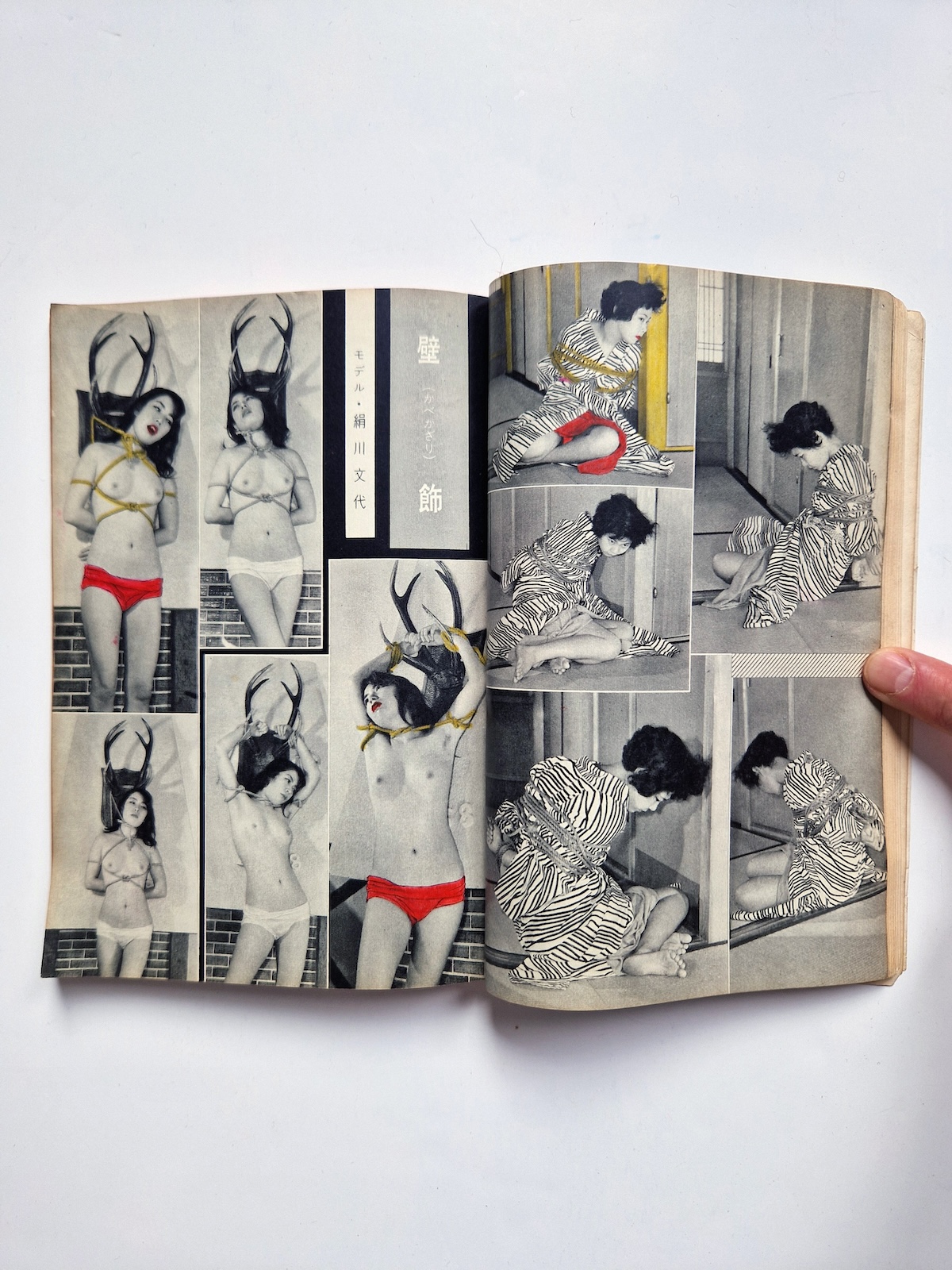 KItan Club 1965 SADO 31 KItan Club 1965 SADO 31