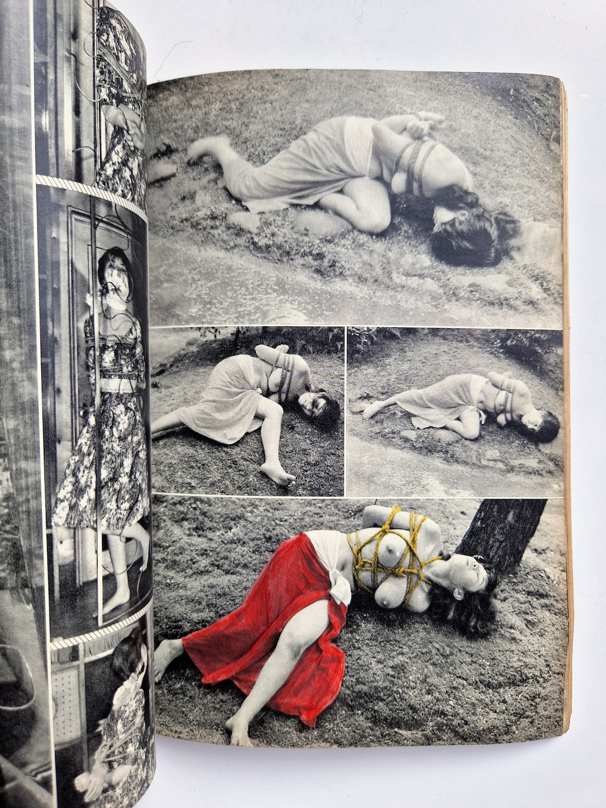 KItan Club 1965 SADO 38 KItan Club 1965 SADO 38