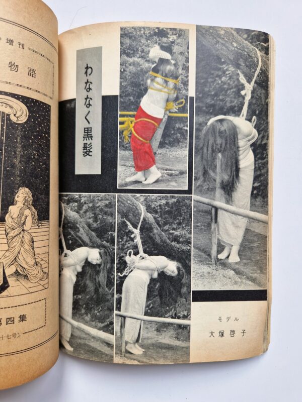 KItan Club 1965 SADO 40